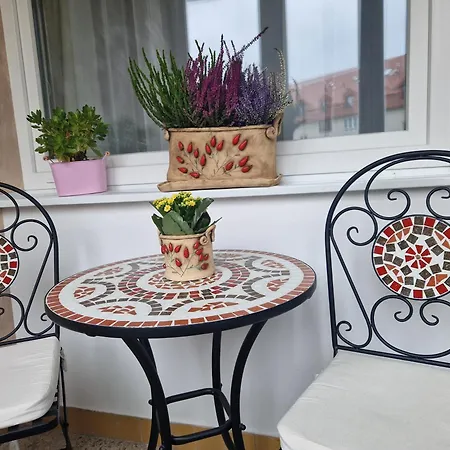 Apartmán Pod Lesom *